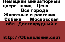 Немецкий миниатюрный(цверг) шпиц › Цена ­ 50 000 - Все города Животные и растения » Собаки   . Московская обл.,Долгопрудный г.
